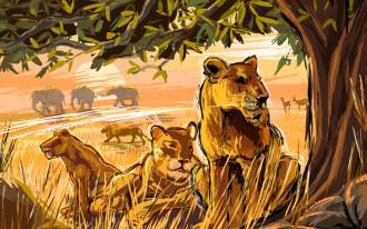 Drawn_wallpapers_Africa_011084_