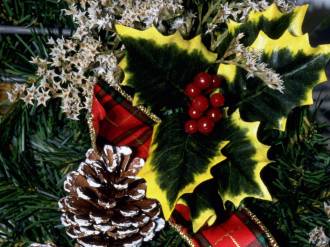 Christmas_wallpapers_Holiday_tree___Christmas_011443_
